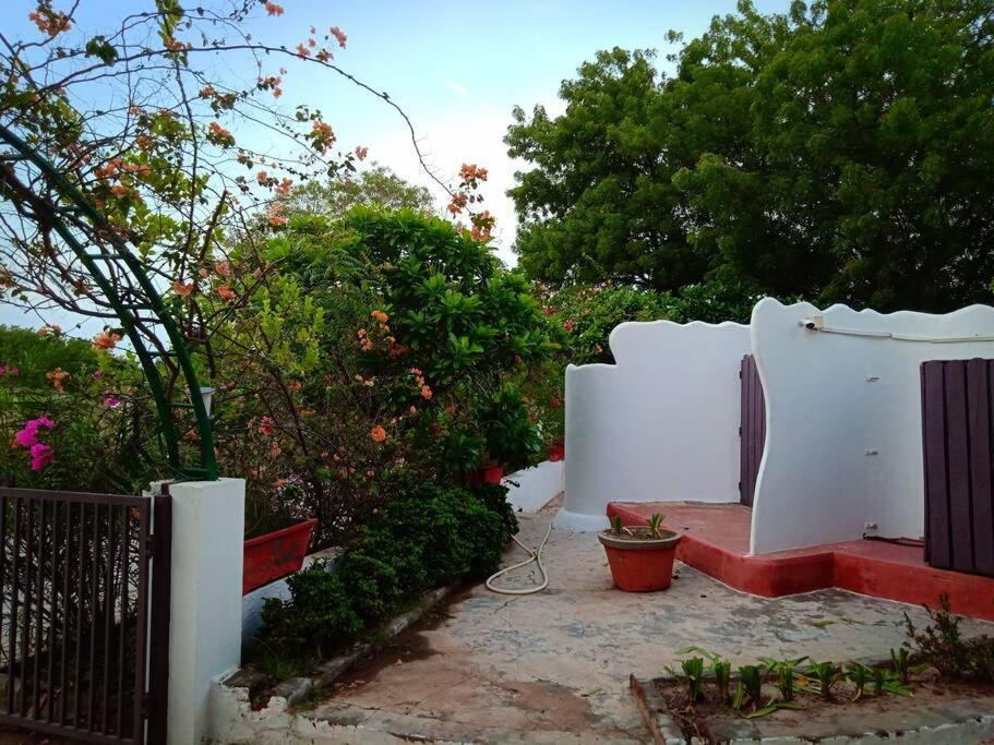 Mamta'S Home- Kensville Nānodra Exterior foto