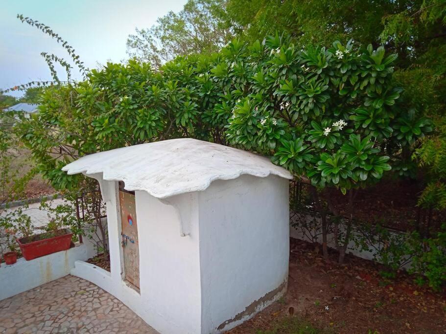 Mamta'S Home- Kensville Nānodra Exterior foto