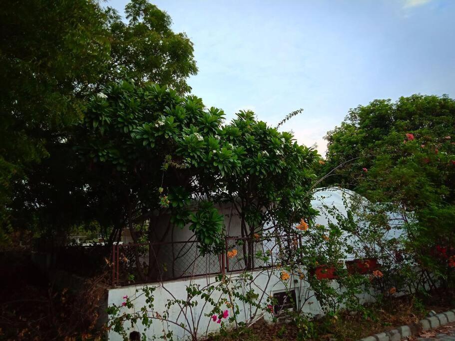 Mamta'S Home- Kensville Nānodra Exterior foto