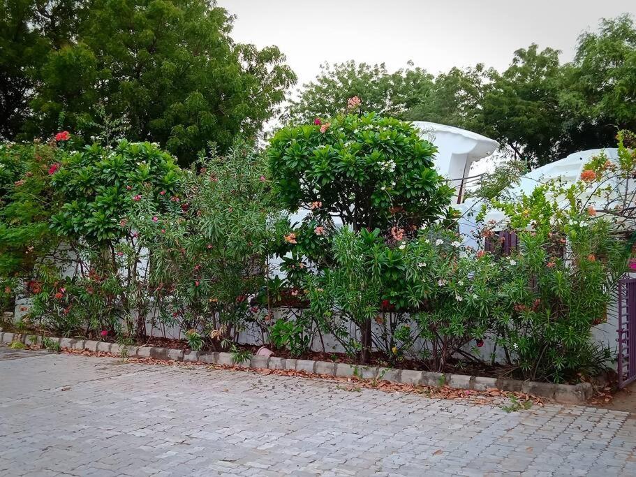 Mamta'S Home- Kensville Nānodra Exterior foto